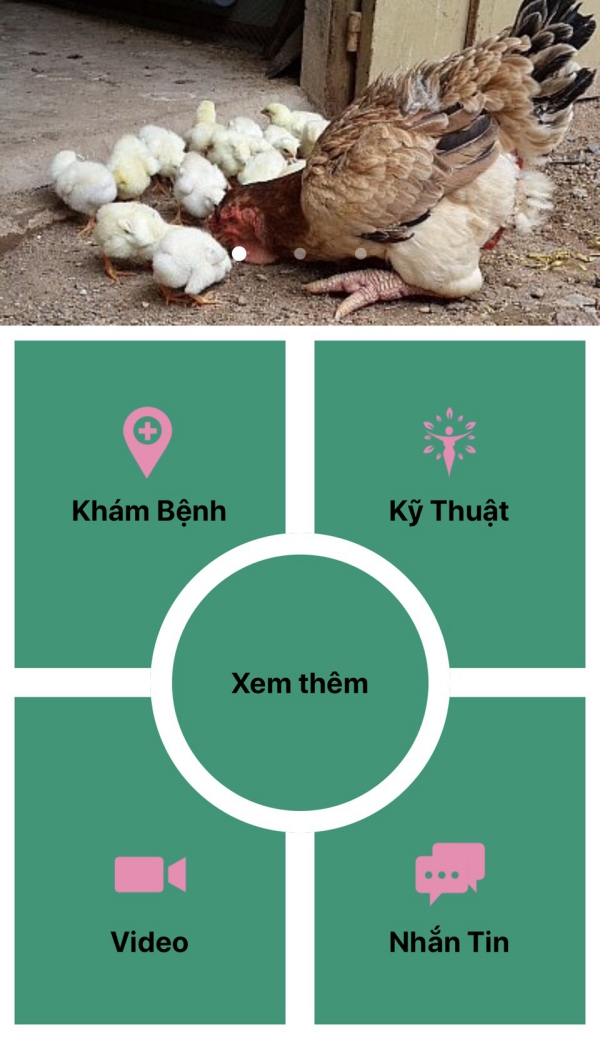 ra mắt ứng dụng nuôi gà đầu tiên của việt nam.