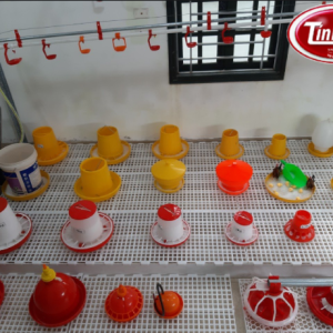 Các loại máng gà ăn phổ biến hiện nay