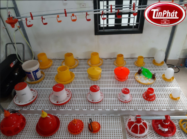 cac-loai-mang-an-ga-61aa3be2-c4a0-42e1-bf89-e3cc9c67322f-3