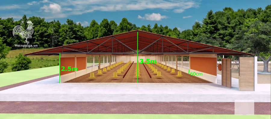 cach-lam-chuong-ga-hoi-nuoi-ga-viet-nam