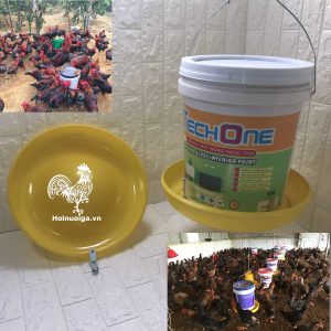 Cần chuẩn bị những gì khi ÚM GÀ