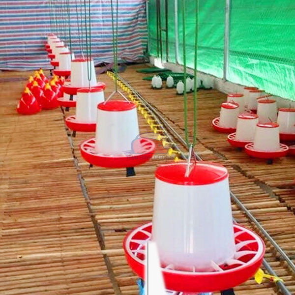 dung-mang-an-chia-o-trong-chan-nuoi-ga-2 Máng ăn chống bới cho gà Giải pháp tiết kiệm chi phí và chống rơi vãi cám