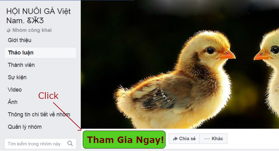 hoi-nuoi-ga-viet-nam-648c76ef-27b6-4a2a-a048-5f72bed986d3