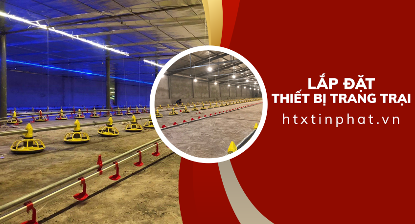 Máng cho gà ăn thông minh Tối ưu chi phí nhân công cho gà ăn tự động