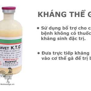 Bệnh IB ( Bệnh viêm phế quản truyền nhiễm)