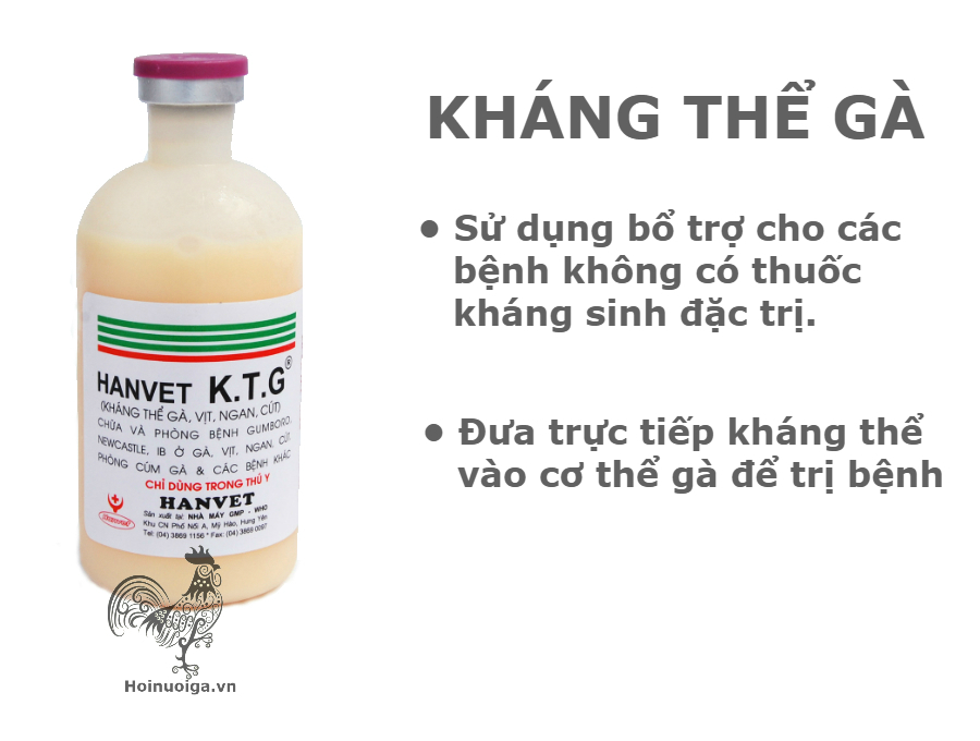 Bệnh IB ( Bệnh viêm phế quản truyền nhiễm)