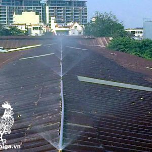 Cách làm chuồng Gà thả vườn