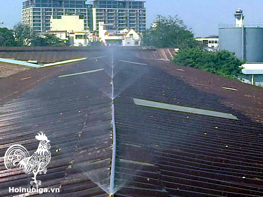 Cách làm chuồng Gà thả vườn