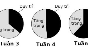 Lịch phòng vacxin cho Gà