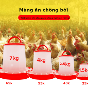 máng ăn chống bới cho gà - giải pháp tiết kiệm trong chăn nuôi