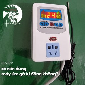 MÁY ÚM GÀ TỰ ĐỘNG - có thực sự tốt hay không?