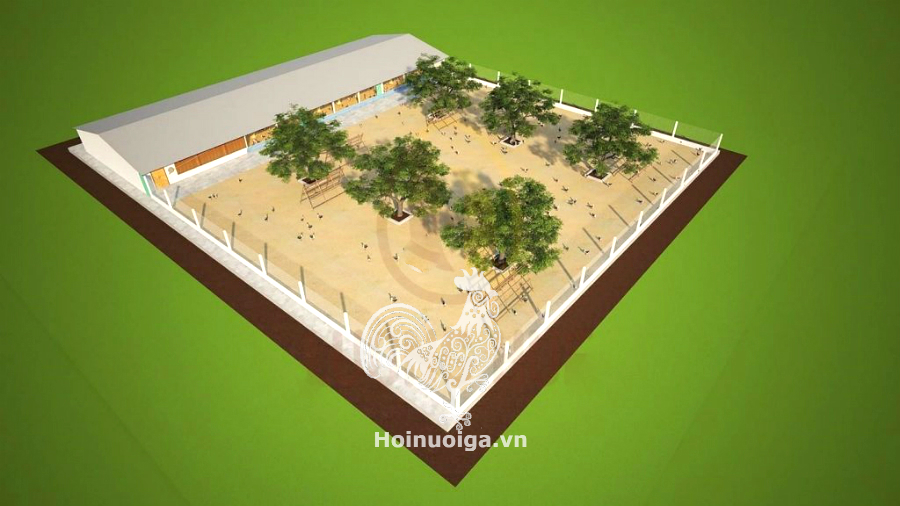 nuoi-ga-tren-cat-1024x576-1