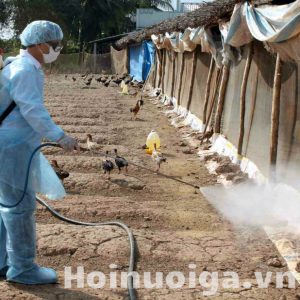 lịch phun khử trùng chuồng trại định kỳ