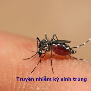 Bệnh ký sinh trùng đường máu