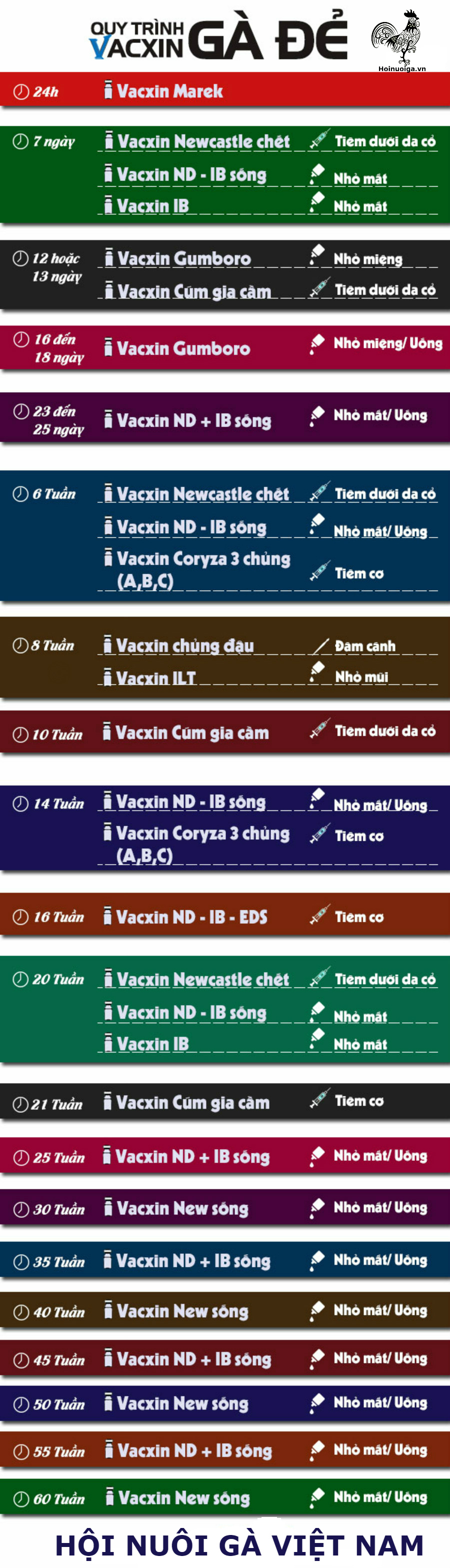 vacxin-ga-de-2-1 lịch làm văc xin gà đẻ