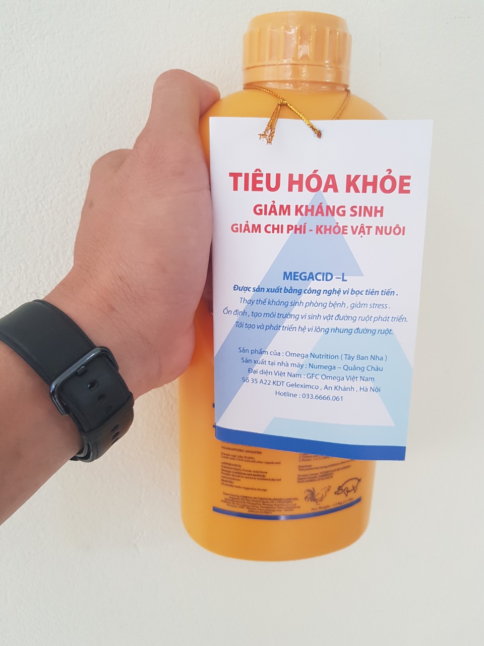 z1962300505859-2996c9f121a7a20ae2abe6752e41954b