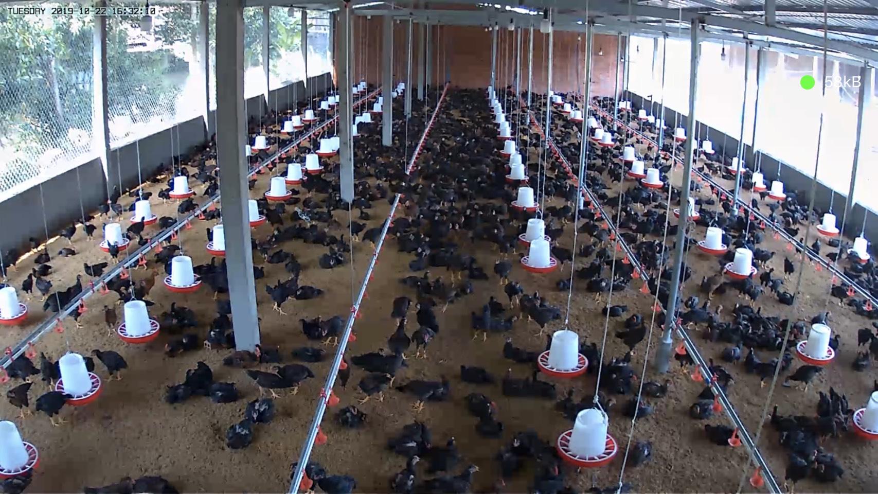 z2135188408526-e19af8210e10496ffd8f18014a671a4d