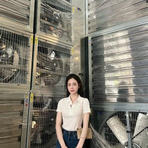 Tổng quan về quạt hút gió công nghiệp trong chăn nuôi trang trại