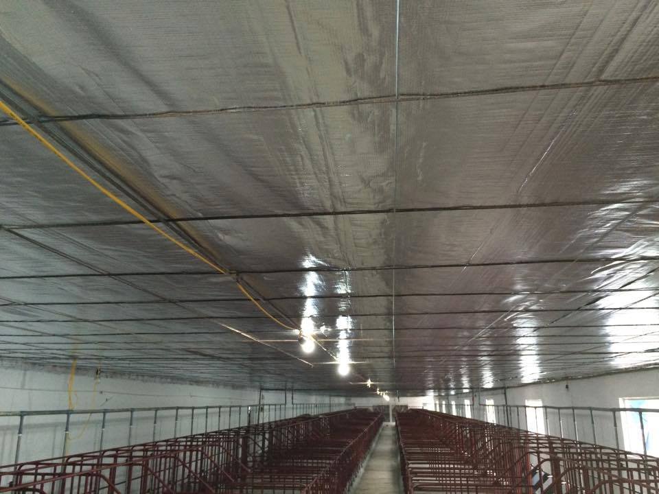 z5188754392539-547e73b077503907a27f471ae34dfde1