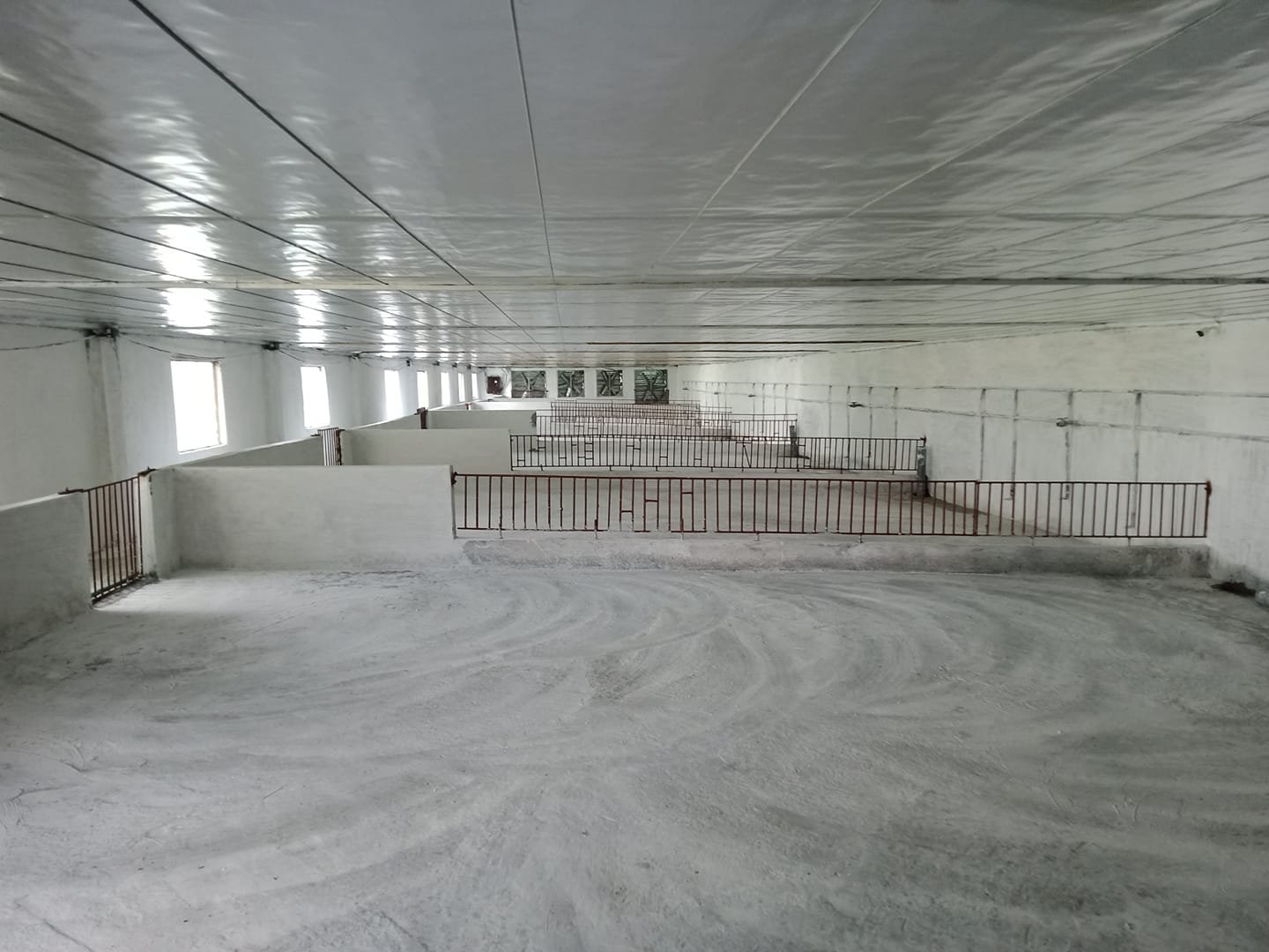 z5188754403276-9df8c2e672d21d2e0b49d5232bec82ad-1