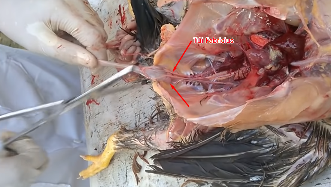 zalo-screenshot-16-4-2019-327665-7