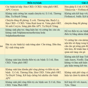 Cách phối trộn kháng sinh hiệu quả nhất!