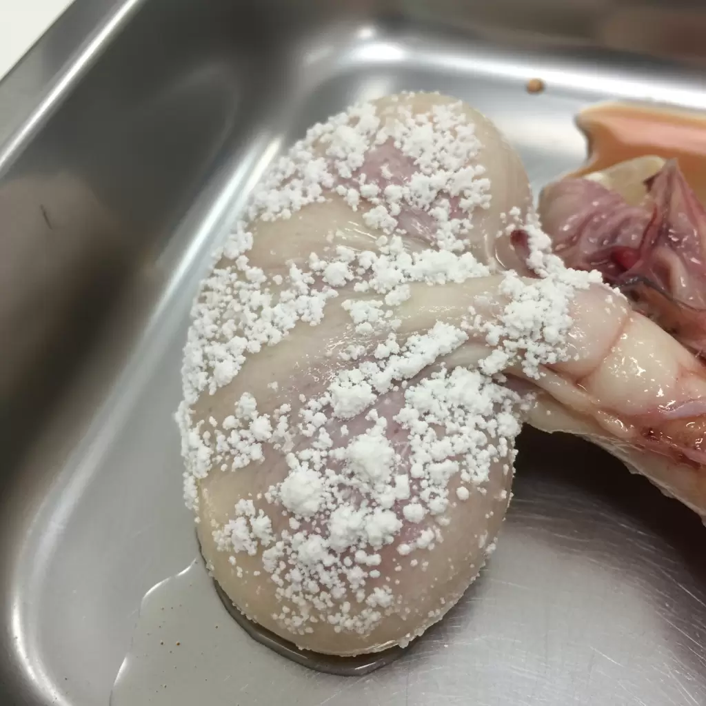 gemini_image_1770083568-1 Thận sưng to và tích tụ muối urat trắng là dấu hiệu đặc trưng của virus IB biến chủng thể thận